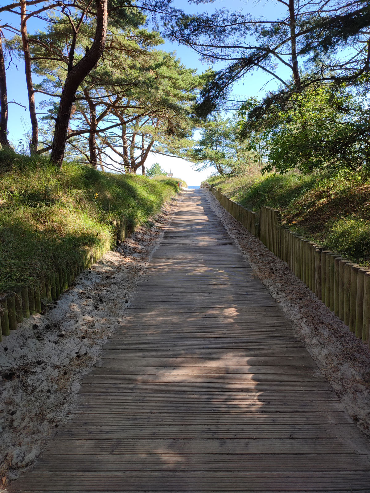 32 IMG 20220811 092607