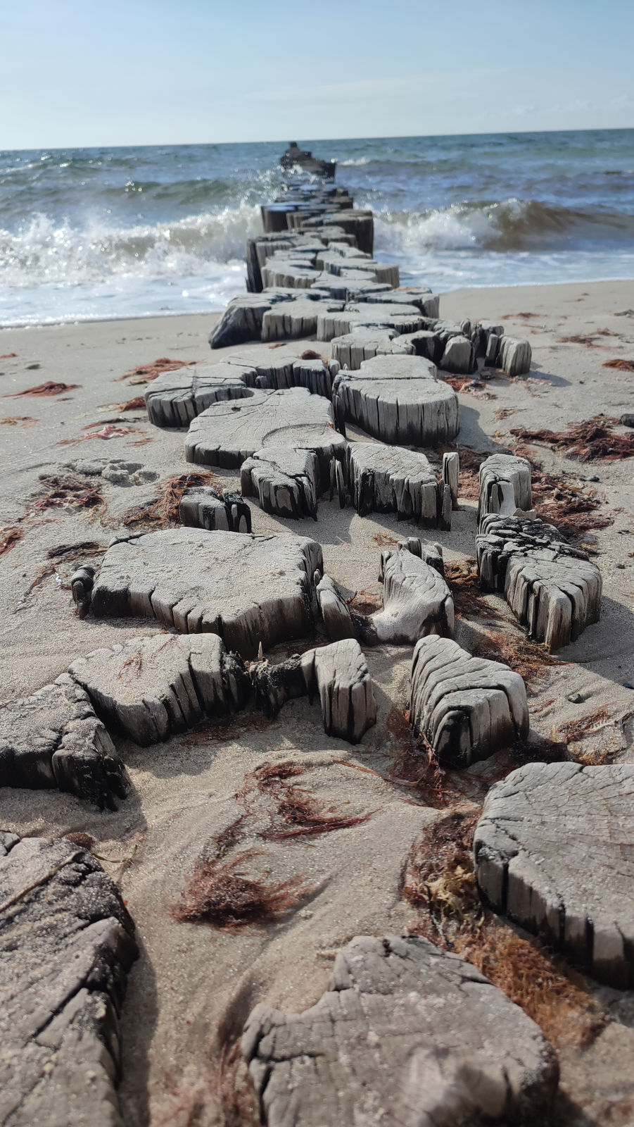 35 IMG 20230710 180712