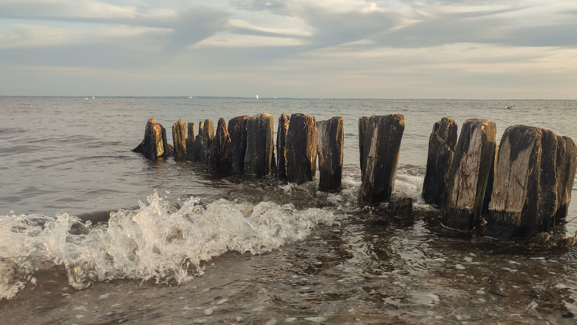 37 IMG 20230903 191004